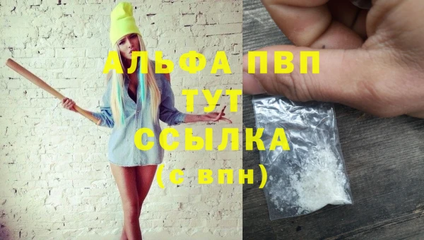 прущие крисы Гусев