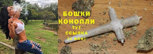 тгк Горно-Алтайск