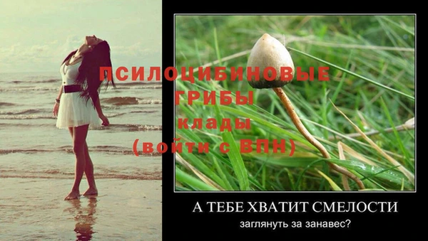хмурый Горняк
