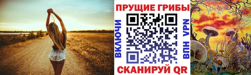 цены   Елизово  Псилоцибиновые грибы Psilocybe 