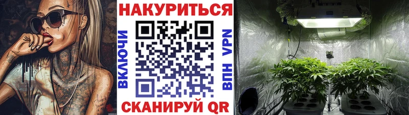 Каннабис гибрид закладка Елизово